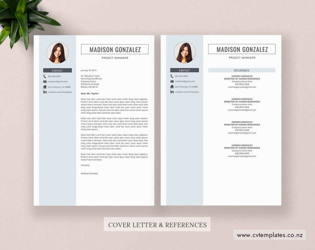 CV Template, Professional Curriculum Vitae, Minimalist CV ...
