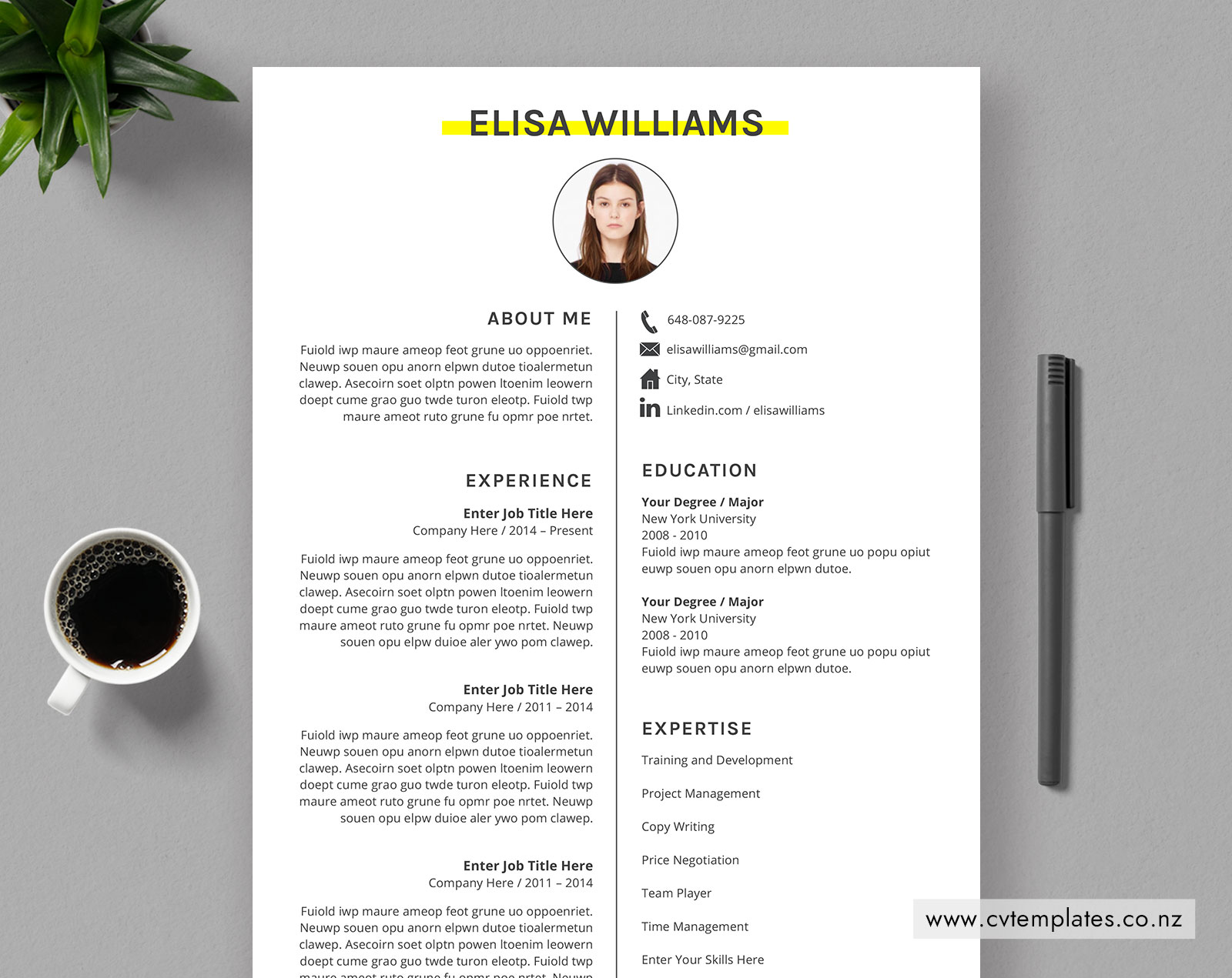 CV Template for MS Word Curriculum - Www.cvtemplates.co .nz New Zealand CV Template Elisa CV Template 01 