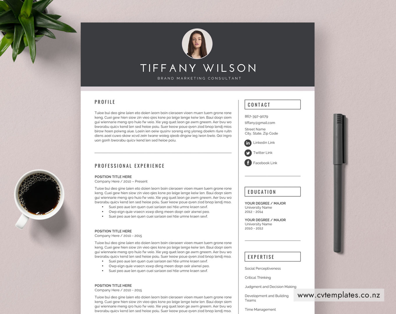 CV Template for MS Word, Curriculum Vitae, Professional CV Template ...